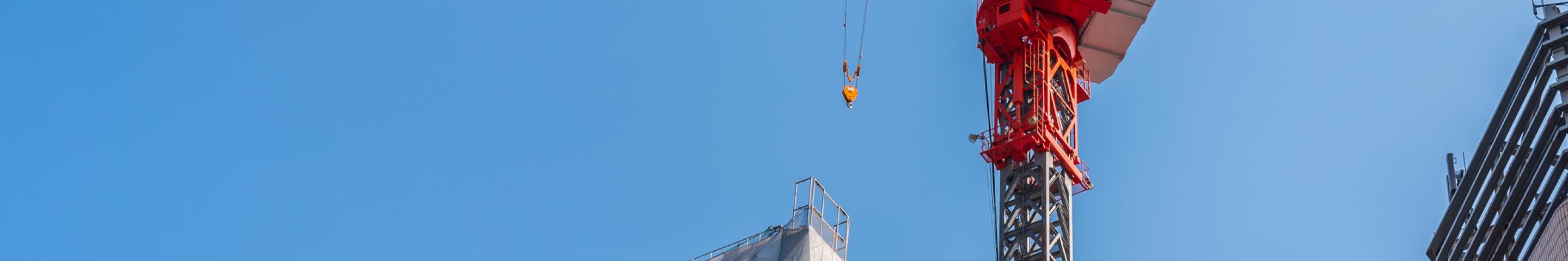 Tower with Crane