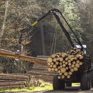 Forest Equipment Operator (Harvester/Forwarder)
